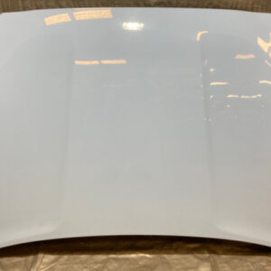 2019-2022 Hyundai Veloster Hood Panel