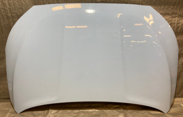 2019-2022 Hyundai Veloster Hood Panel