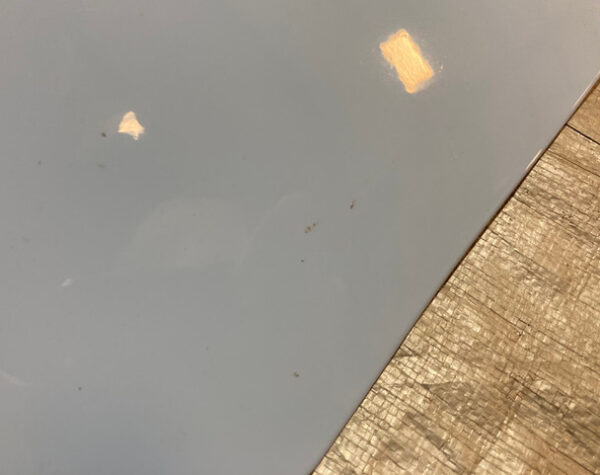 2019-2022 Hyundai Veloster Hood Panel / Performance Blue HV010 - Image 15